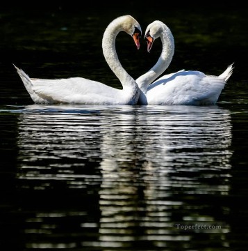 Animal Painting - swan love birds